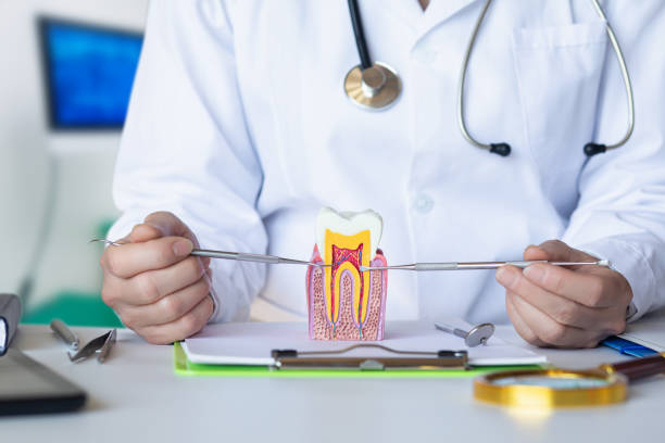 Best Mobile Emergency Dentist in Ladera, CA